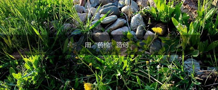 用“药棉”造句,第1张 用“药棉”造句,第1张