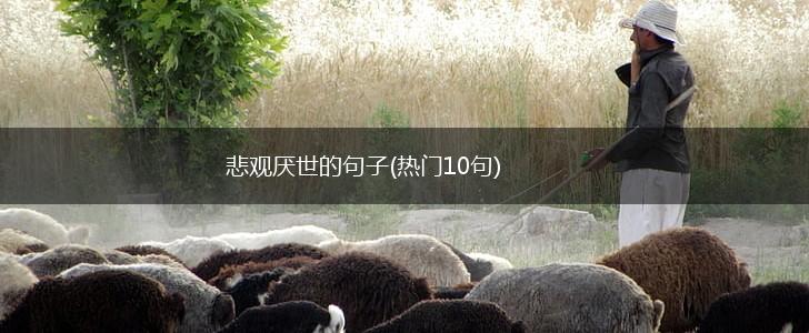 悲观厌世的句子(热门10句),第1张