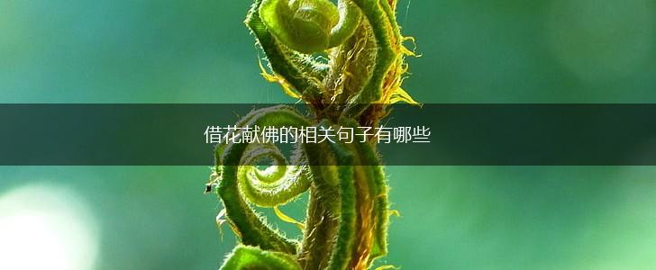 借花献佛的相关句子有哪些,第1张 借花献佛的相关句子有哪些,第1张