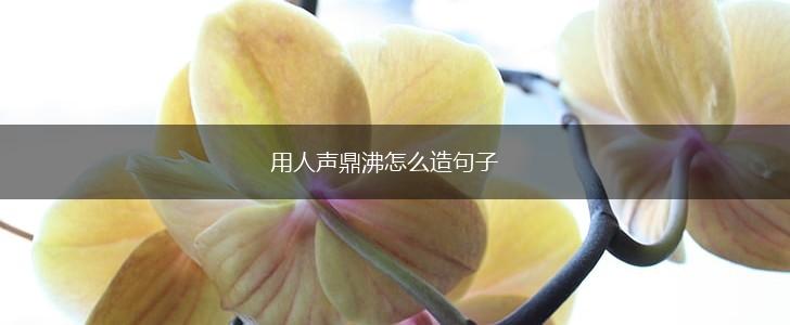 用人声鼎沸怎么造句子,第1张