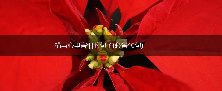 描写心里害怕的句子(必备40句),第1张
