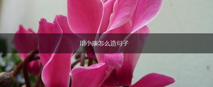 用小康怎么造句子,第1张 用小康怎么造句子,第1张