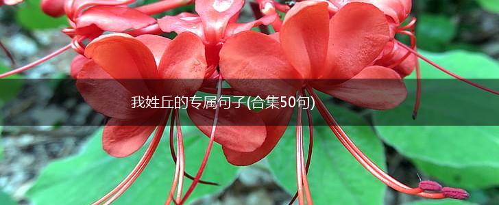 我姓丘的专属句子(合集50句),第1张
