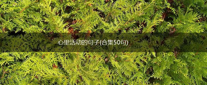 心里活动的句子(合集50句),第1张