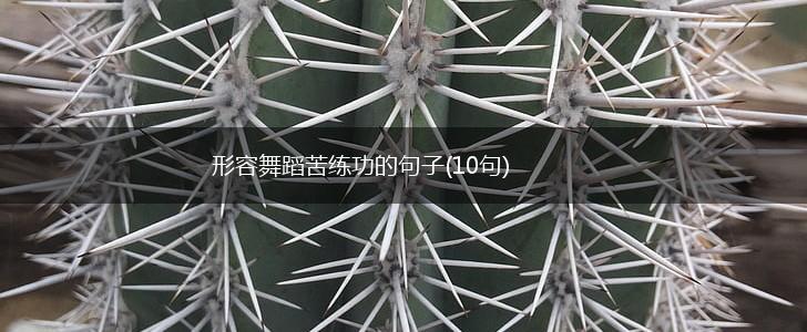 形容舞蹈苦练功的句子(10句),第1张