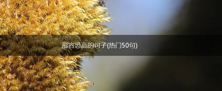 形容恐高的句子(热门50句),第1张