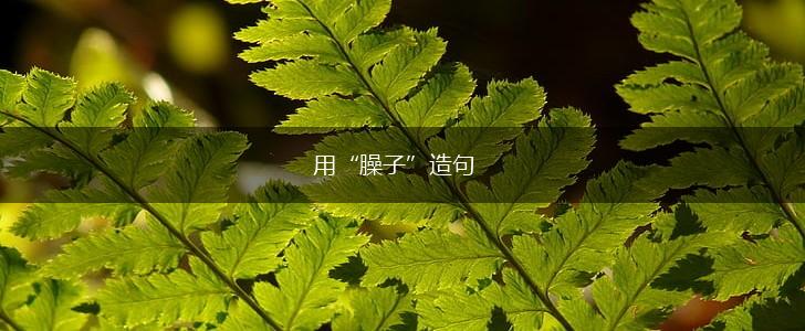 用“臊子”造句,第1张 用“臊子”造句,第1张