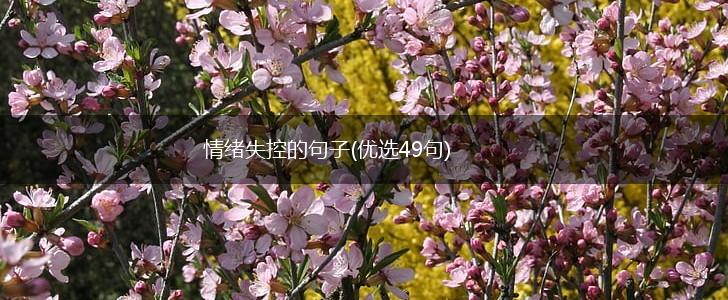 情绪失控的句子(优选49句),第1张