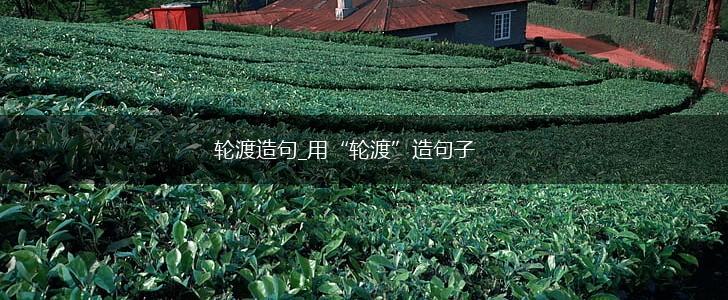 轮渡造句_用“轮渡”造句子,第1张 轮渡造句_用“轮渡”造句子,第1张