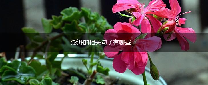 澎湃的相关句子有哪些,第1张