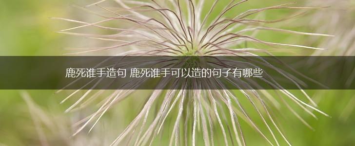 鹿死谁手造句 鹿死谁手可以造的句子有哪些,第1张