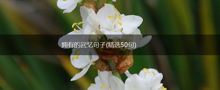 拥有的回忆句子(精选50句),第1张