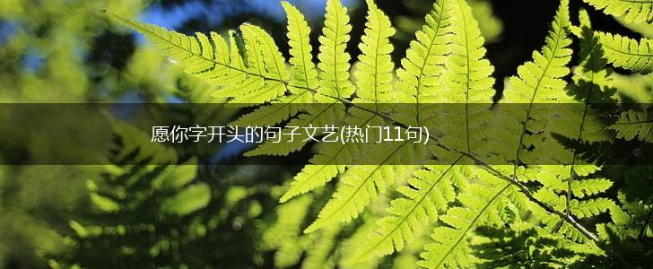 愿你字开头的句子文艺(热门11句),第1张
