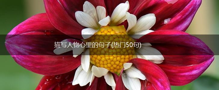 描写人物心里的句子(热门50句),第1张