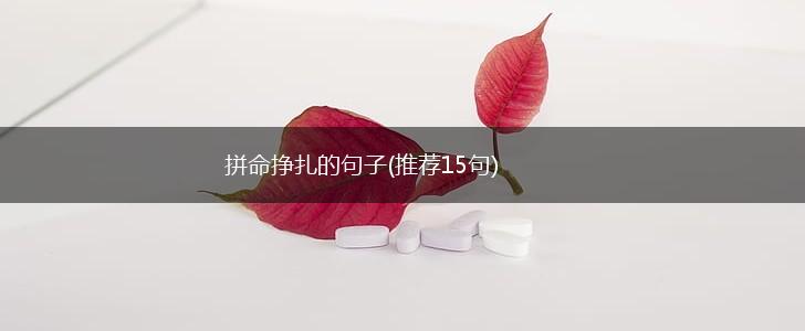 拼命挣扎的句子(推荐15句),第1张