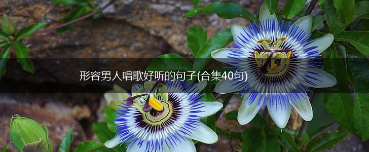 形容男人唱歌好听的句子(合集40句),第1张