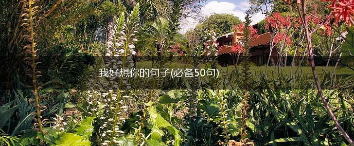 我好想你的句子(必备50句),第1张