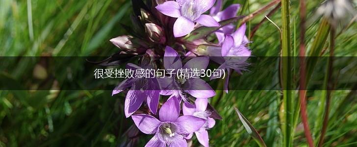 很受挫败感的句子(精选30句),第1张