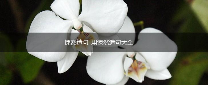 悚然造句_用悚然造句大全,第1张 悚然造句_用悚然造句大全,第1张