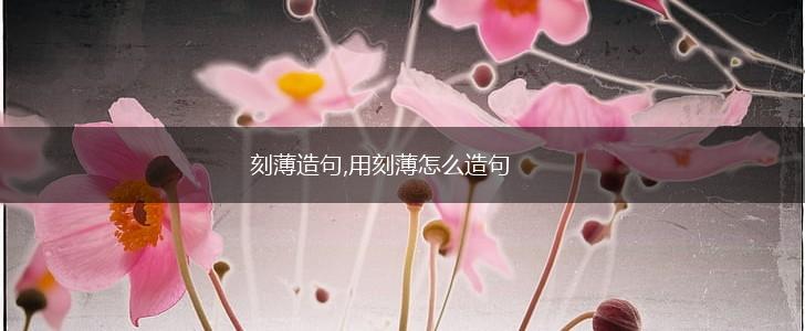 刻薄造句,用刻薄怎么造句,第1张 刻薄造句,用刻薄怎么造句,第1张