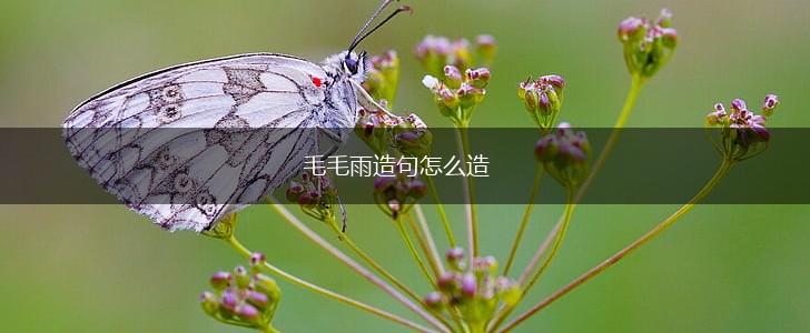 毛毛雨造句怎么造,第1张 毛毛雨造句怎么造,第1张