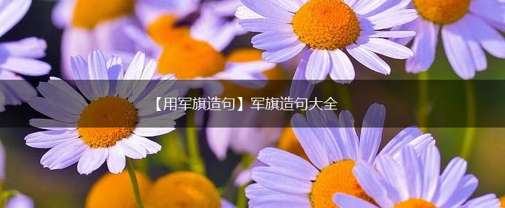 【用军旗造句】军旗造句大全,第1张 【用军旗造句】军旗造句大全,第1张