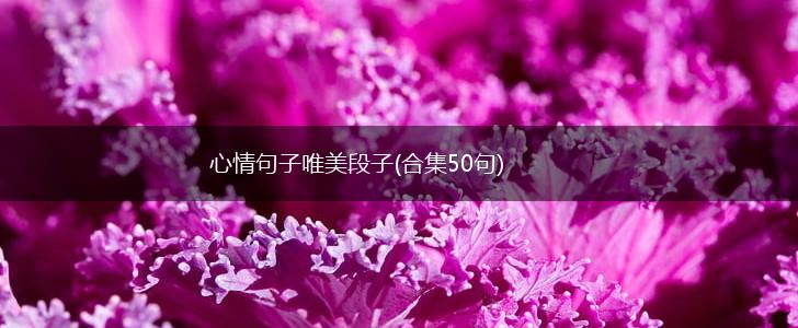 心情句子唯美段子(合集50句),第1张