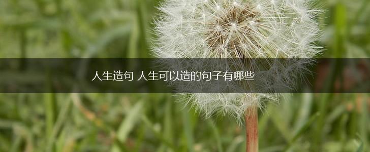 人生造句 人生可以造的句子有哪些,第1张