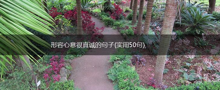 形容心意很真诚的句子(实用50句),第1张