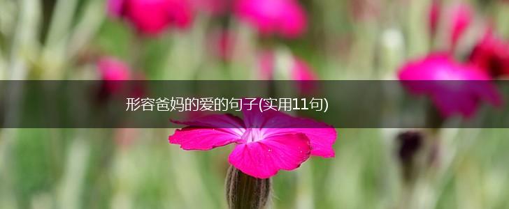 形容爸妈的爱的句子(实用11句),第1张