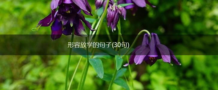 形容放学的句子(30句),第1张