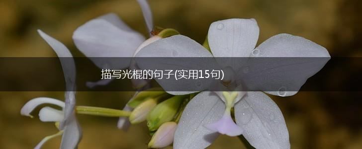 描写光棍的句子(实用15句),第1张