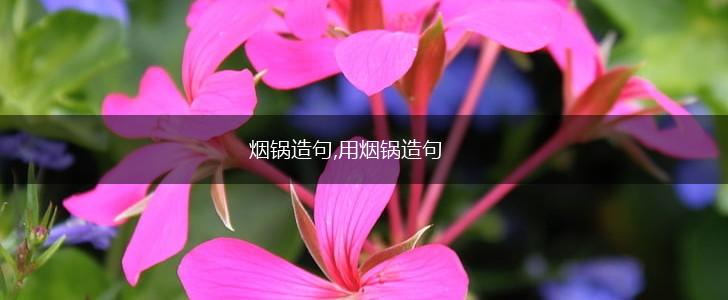 烟锅造句,用烟锅造句,第1张