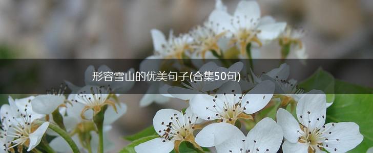 形容雪山的优美句子(合集50句),第1张