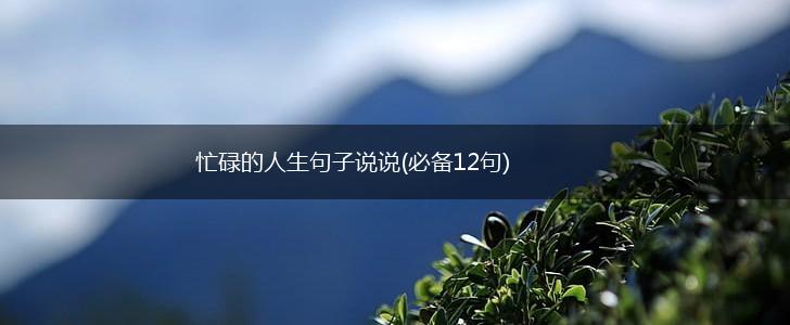 忙碌的人生句子说说(必备12句),第1张