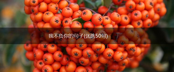 我不负你的句子(优选50句),第1张