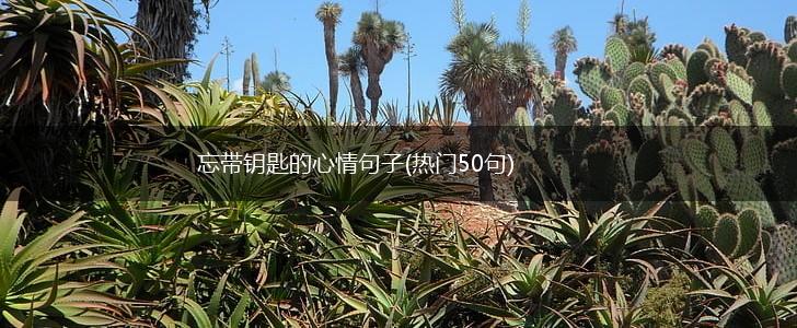 忘带钥匙的心情句子(热门50句),第1张