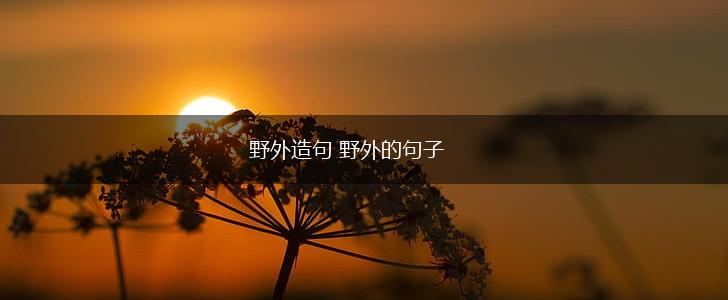野外造句 野外的句子,第1张 野外造句 野外的句子,第1张