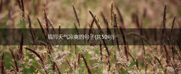 描写天气凉爽的句子(共50句),第1张