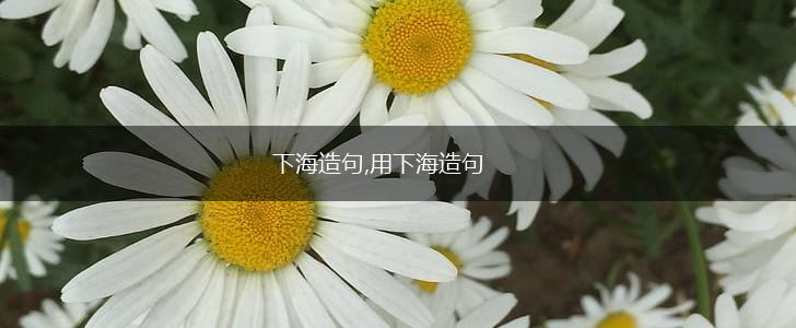 下海造句,用下海造句,第1张 下海造句,用下海造句,第1张