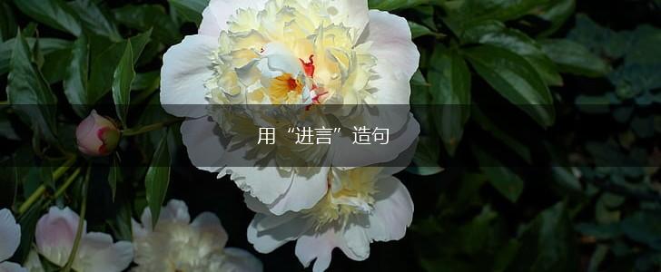 用“进言”造句,第1张 用“进言”造句,第1张
