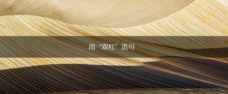 用“双杠”造句,第1张 用“双杠”造句,第1张