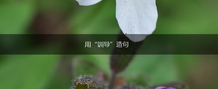 用“训导”造句,第1张 用“训导”造句,第1张