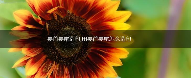 畏首畏尾造句,用畏首畏尾怎么造句,第1张 畏首畏尾造句,用畏首畏尾怎么造句,第1张