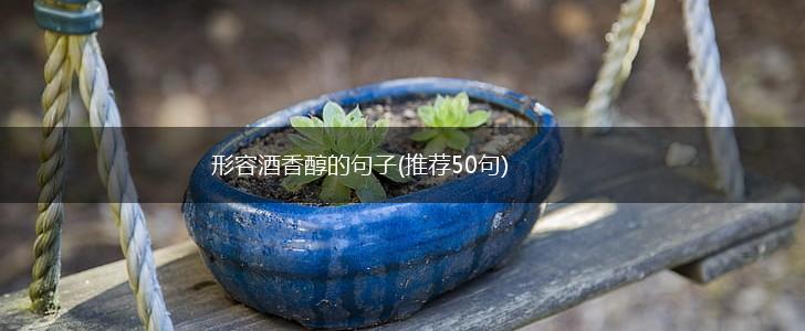形容酒香醇的句子(推荐50句),第1张