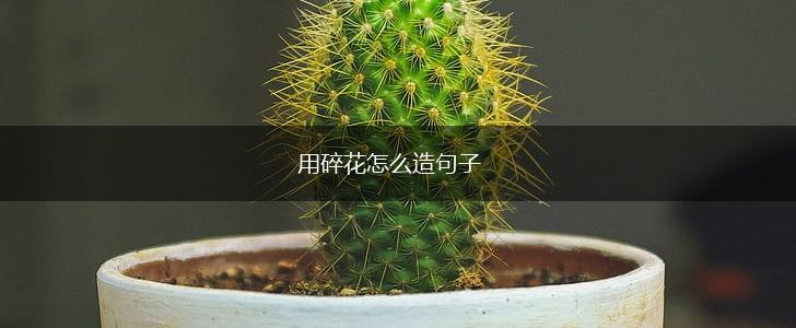 用碎花怎么造句子,第1张