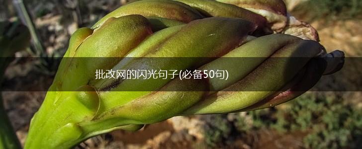 批改网的闪光句子(必备50句),第1张