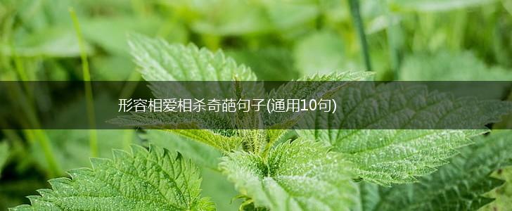 形容相爱相杀奇葩句子(通用10句),第1张