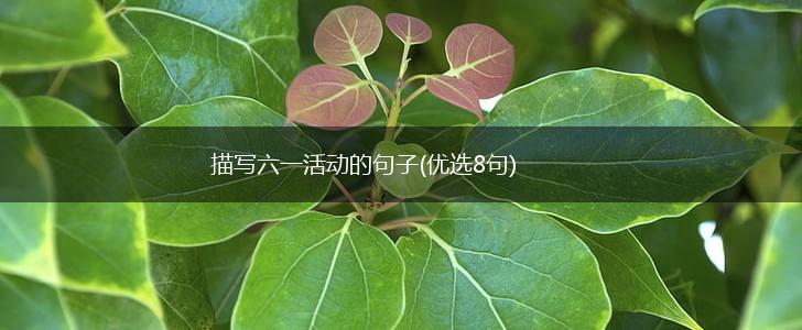 描写六一活动的句子(优选8句),第1张
