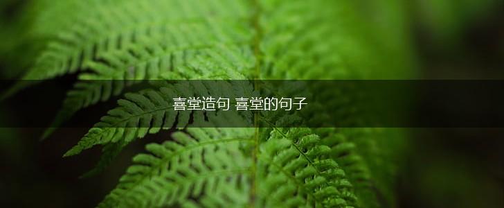 喜堂造句 喜堂的句子,第1张 喜堂造句 喜堂的句子,第1张